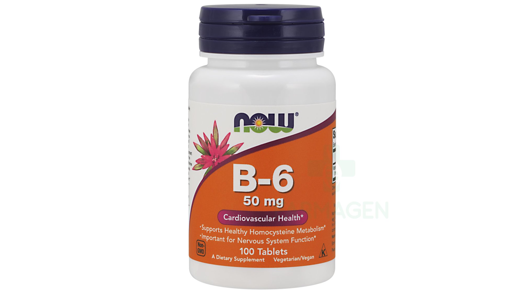 Vitamin B-6 100 mg 