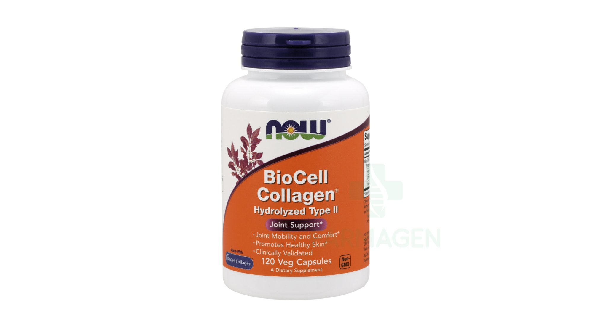 Biocell Collageno Idrolizzato Tipo II 