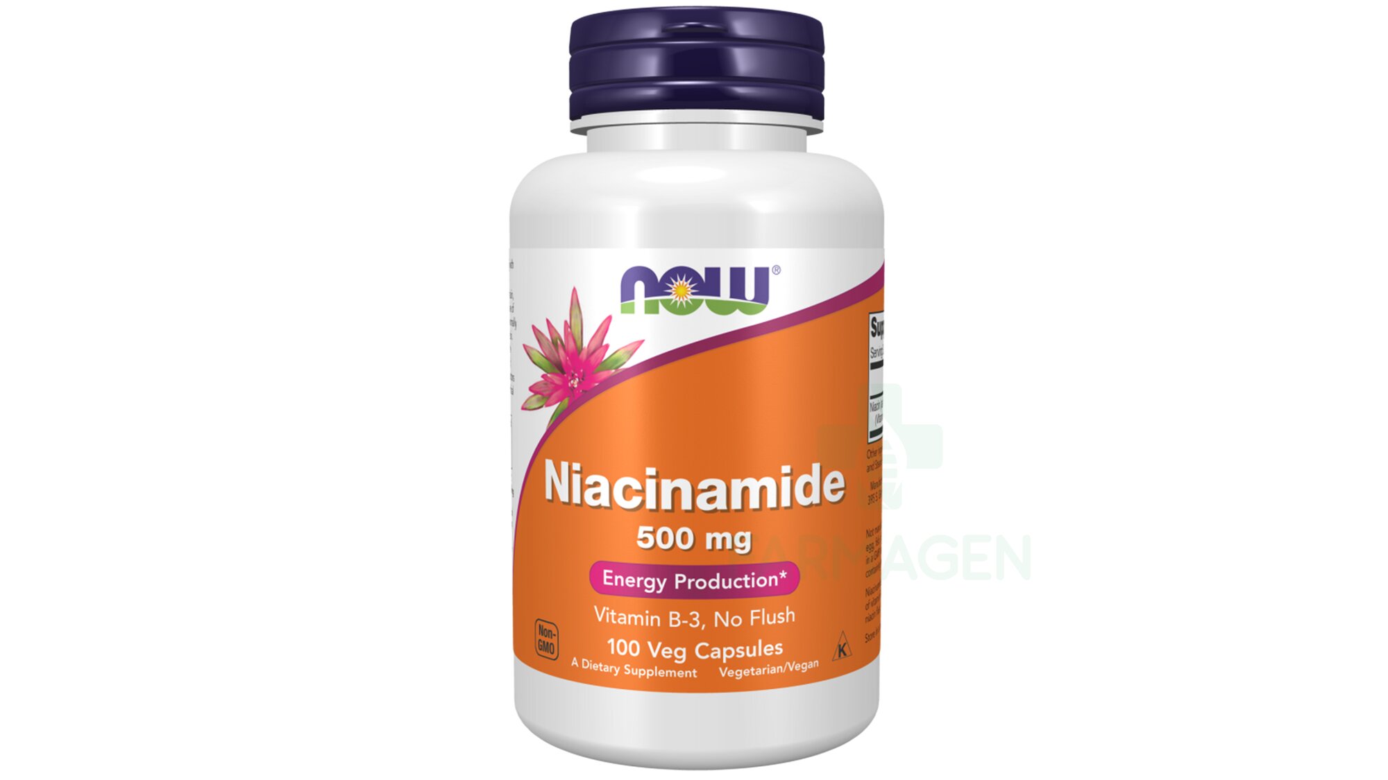 Niacinamide 500 mg Capsules