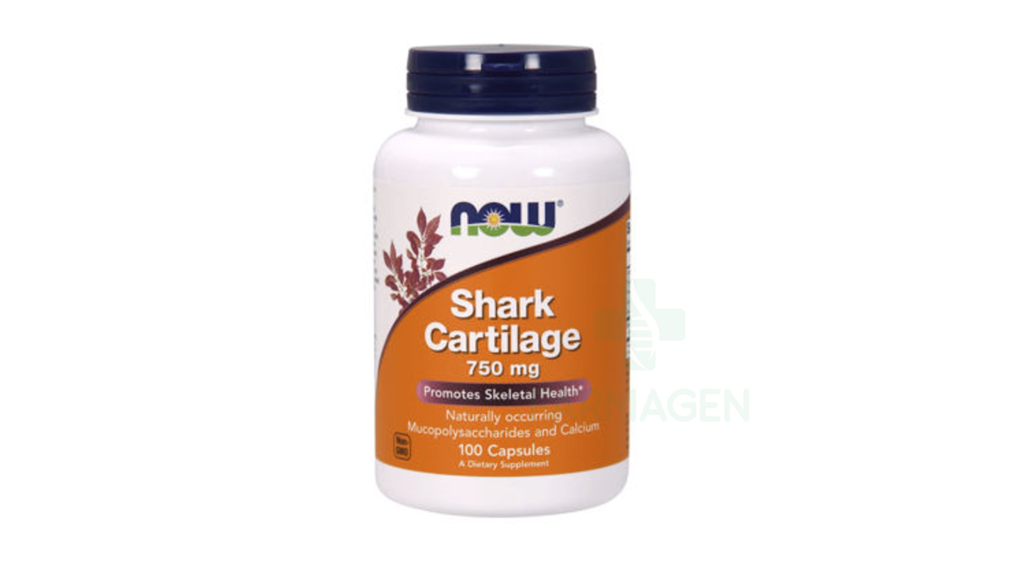 Shark Cartilage 750 mg Capsule