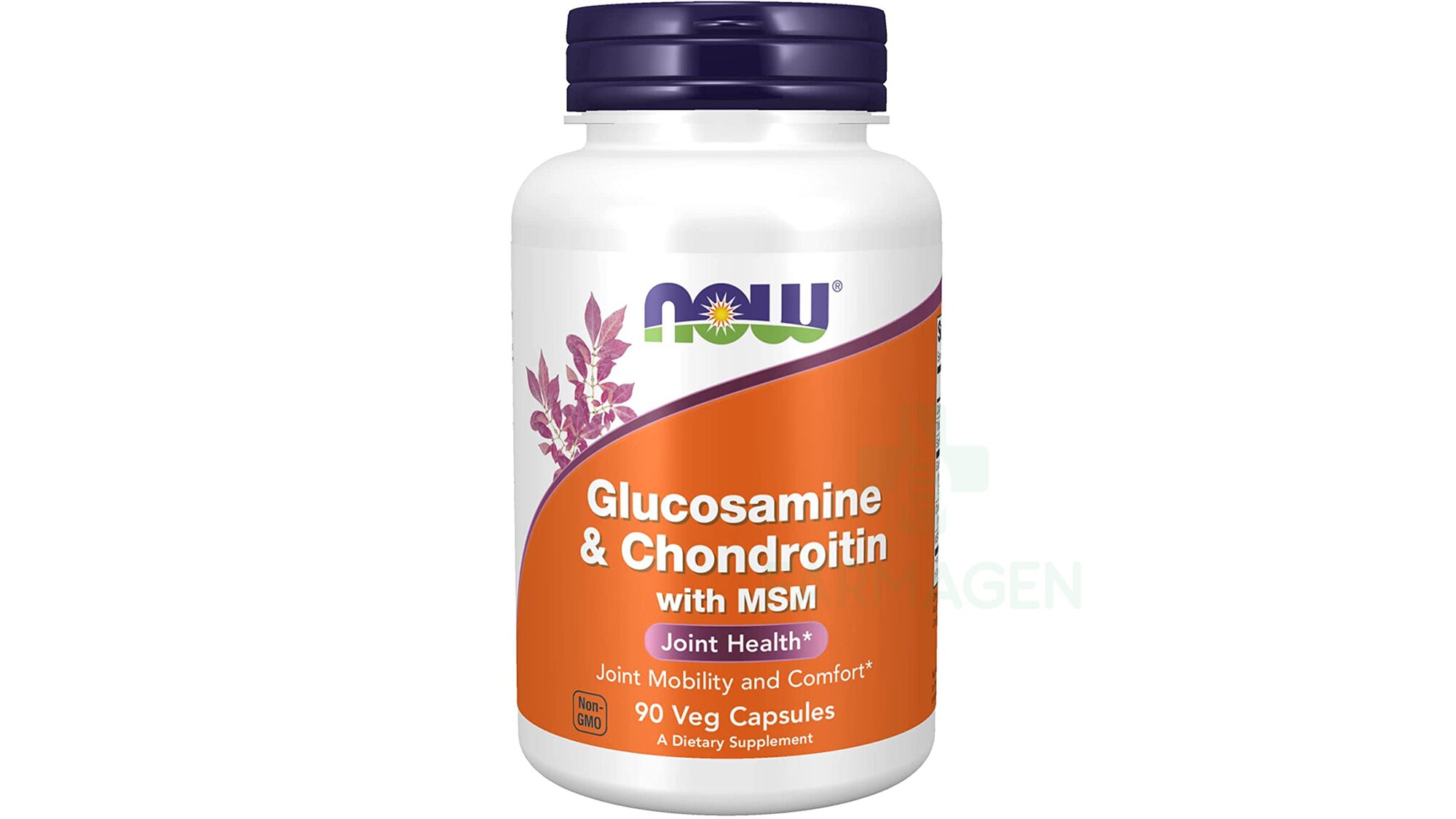 Glucosamine & Chondroitin with MSM Veg Capsules