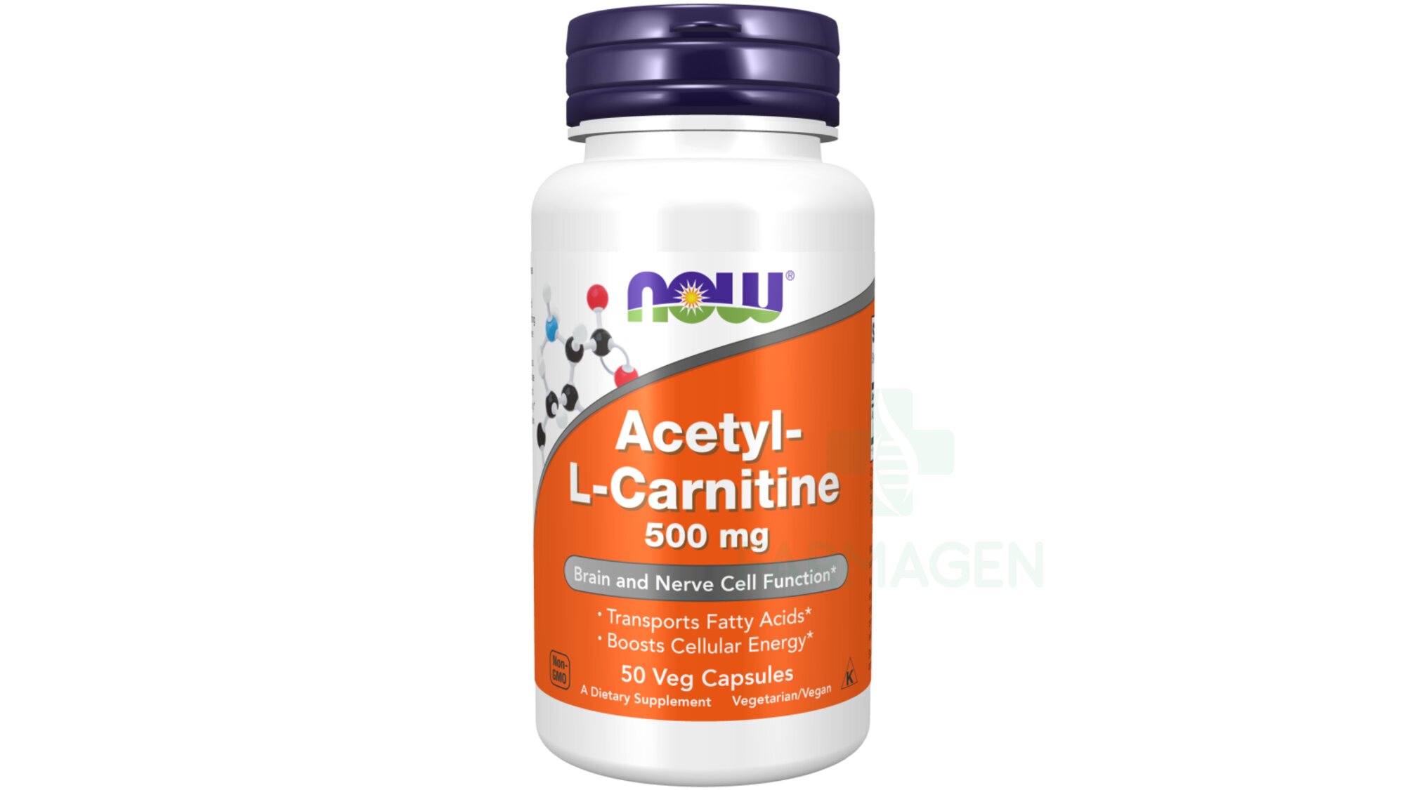 Acetyl L-Carnitine 500 mg Veg Capsules