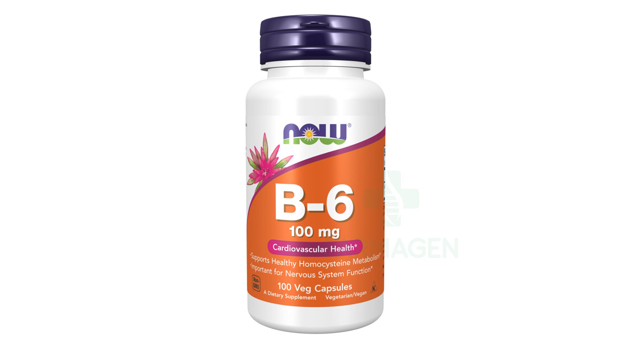 Vitamin B-6 100 mg Now