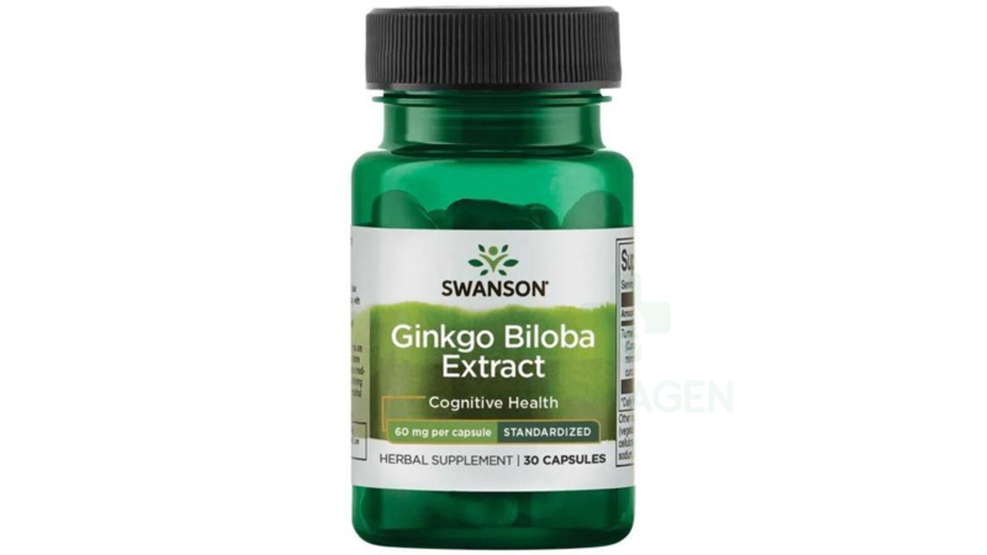 Ginkgo Biloba Extract 60 mg Swanson