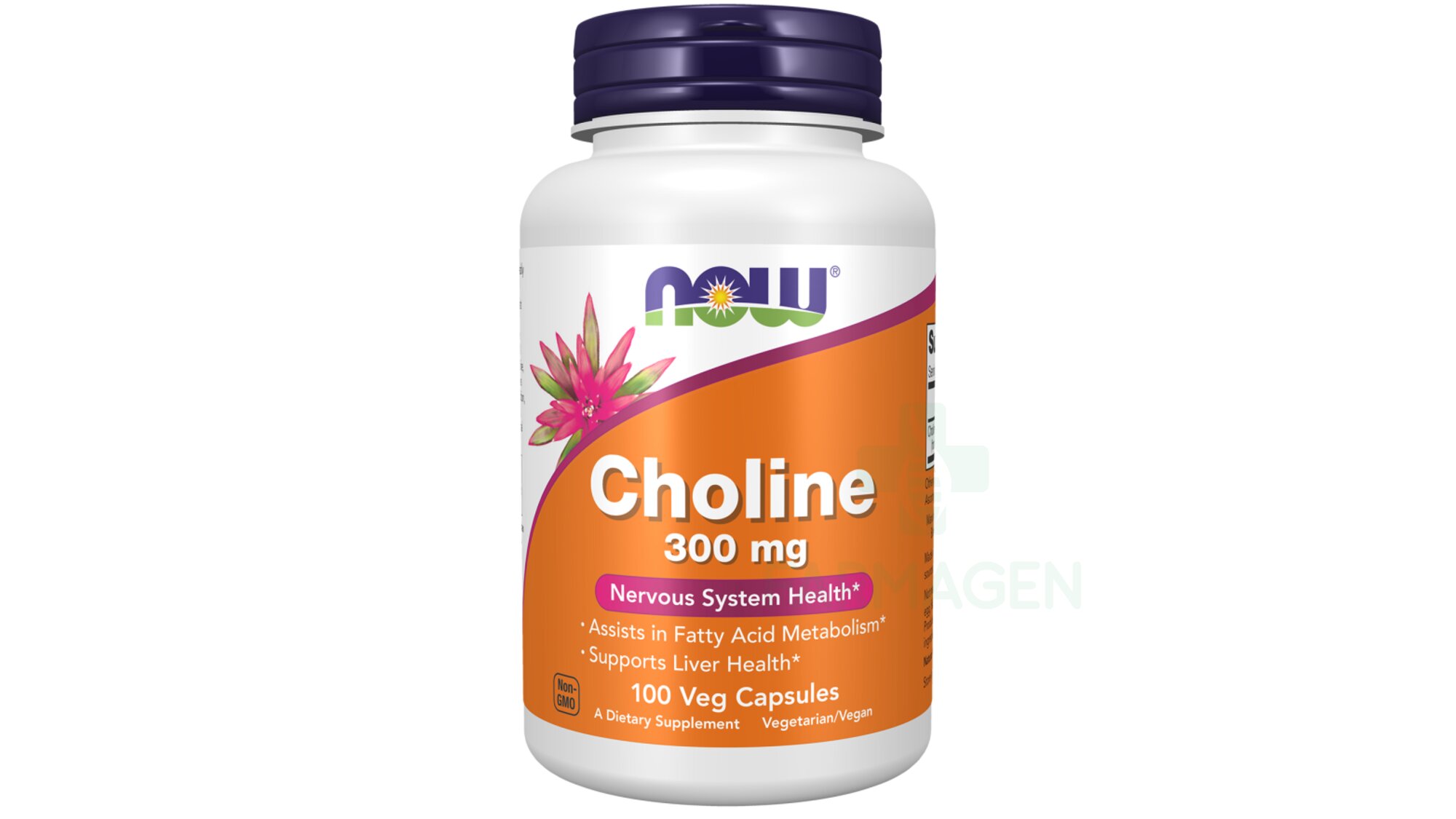 Choline 300 mg NOW